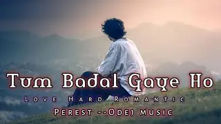 Tum Badal Gaye Ho // Love Hard Romantic Perest Odej music // Sad mushp song 