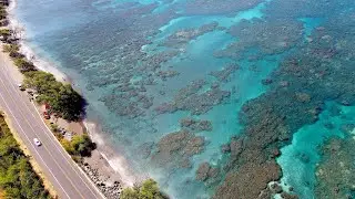 4K Drone: Mile Marker 14 Reefs Olowalu - Maui, Hawaii - 