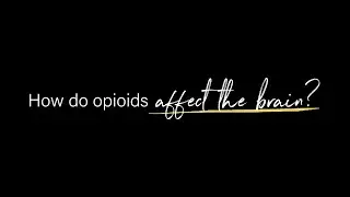 How Do Opioids Affect the Brain? | Dr. Ben Nordstrom