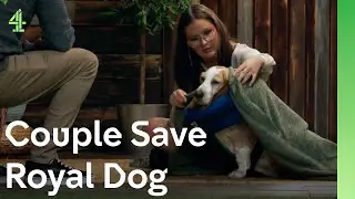 Couple save royal dog | The Dog House 🐶 | Dog Stories
