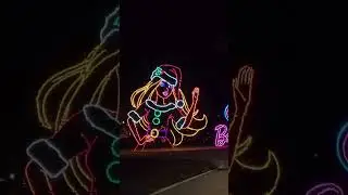 Magic of Lights #magicoflights #homestead #christmas #light