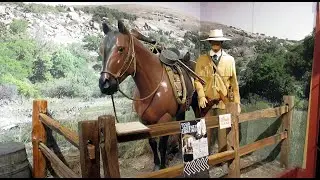 Buckhorn Saloon &Texas Ranger Museum-SAN ANTONIO