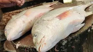 Amazing Cutting Skills!! Small Testy Coral Fish Cutting Live In Fish Market