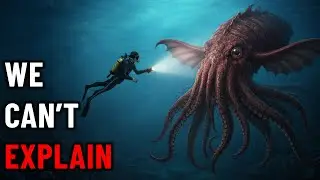 Why Do Deep Sea Creatures Evolve Into GIANTS