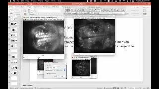 Fiji Image Analysis Crash course #003: Flipping Dimensions