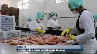 Conheça todo processo para fabricação de polpas -  CAMTA