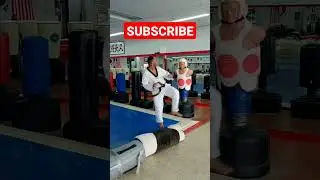 Tornado Push Kick #shorts #martialarts #taekwondo  #karate #mma #kickboxing #cool #stunt