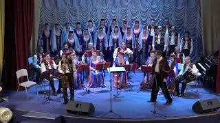 Концерт Ани