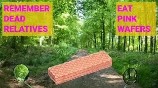 PINK WAFER REVIEW ON A HONDA C90