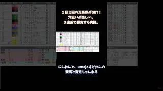 【競馬日常】３連系で勝負する夫婦。じんたん、すみたん夫婦競馬ちゃんねる！#shorts #競馬 #jra #umajo