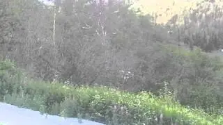 Auto repair noise in R6 zoning