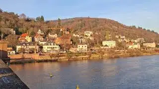 Aussicht von der Alten Brücke in Heidelberg (01.12.2025)