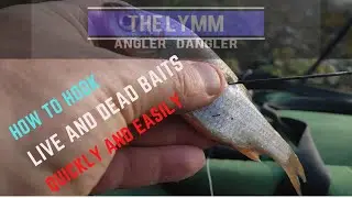 Guide to hooking live bait for pike fishing : Tried + tested
