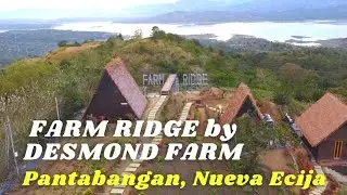 Farm Ridge by Desmond Farm I Pantabangan, Nueva Ecija