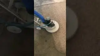 Steam Cleaning San Diego | LCS Janitorial Services