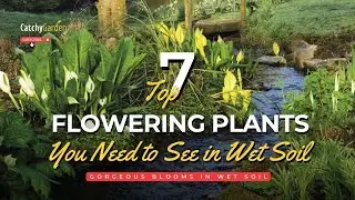 Gorgeous Blooms in Wet Soil: 7 Flowering Plants You Need to See 🌸🌱👍