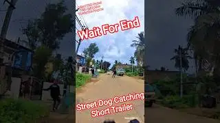 Street Dog Catch Training videos #dog #training #dogwithpublicsafety #ytviral #shorts