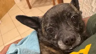 Saying goodbye