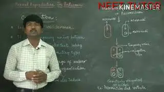 Sexual Reproduction in Protozoans by TR