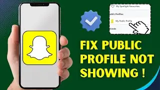How To Fix Snapchat Public Profile Not Showing 2025 &ndash; Android & iPhone Quick Fix