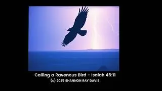 Calling a Ravenous Bird - Isaiah 46:11 - Official Track