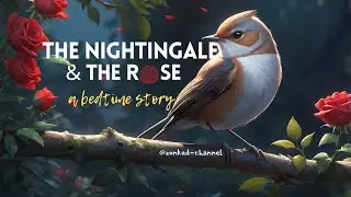 The Nightingale and the Rose | soothing deep voice bedtime story