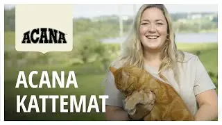 Maren Teien R&oslash;rvik, Etolog og biolog, anbefaler Acana kattemat til katten din.