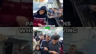 Amnesty International: Accusations of Genocide in Gaza