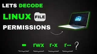 Chmod Command In Linux 2024: Avoid These Common Mistakes!