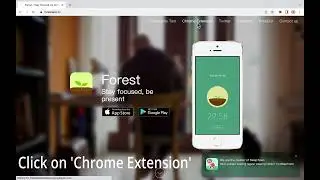 How to Install the Forest Chrome Extension