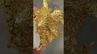 Goldbay - Dendritic Crystalline Gold From California