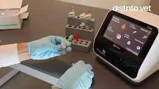 &iquest;C&oacute;mo realizar una prueba de SDMA de Vcheck en menos de 15 minutos?