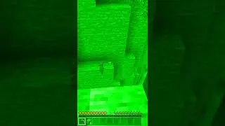 Villager or Diamonds in Minecraft ? #shorts
