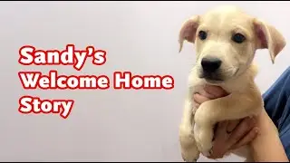 Sandy's Welcome Home Story
