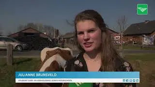 Sanne 86 MRIJ-koe van het jaar
