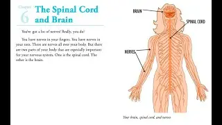 CKLA Grade 3 Unit 3 Chapter 6 Reader