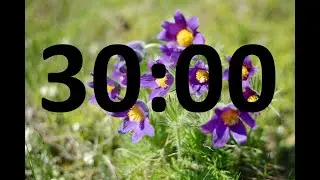 SPRING countdown TIMER. 30 MINUTES.