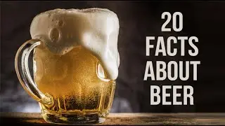 20 Facts about Beer