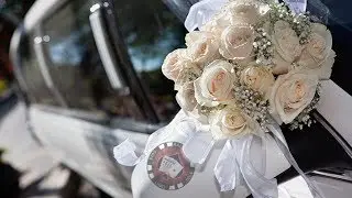 Wedding Transportation Services - Aall In Limo & Party Bus