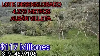 ✳️117 Millones.. (LOTE DESENGLOBADO 4.273 METROS ALBAN VILLETA) 319-4679106