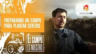 Josema prepara un campo para plantar cerezos