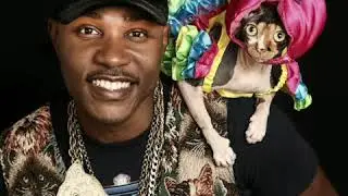 Have You Met Moshow The Cat Rapper?