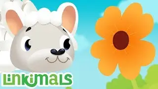 Linkimals&trade; - Counting Seeds Song | Kids Songs | Cartoons For Kids | Nursery Rhymes | Kids Learning