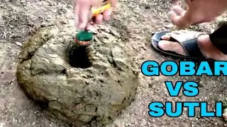 Gobar Vs sutli || sutli experiment || sutli