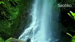 Cascada hermosa de mi pueblito en Oaxaca