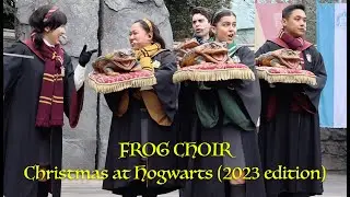 Wizarding World of Harry Potter, Frog Choir Christmas edition (2023)