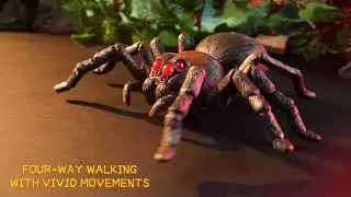 Infrared RC Spider | Realistic Tactile Simulated Actions | 360&deg; Rotation LED Light4-Channel Control