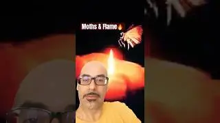 2 Spiritual Quotes by Sufi Masters : Rumi & Inayat Khan #shorts #islam #sufi #quotes
