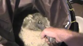 32 gallon bubble bag review Hash in it out Hash for dummies How to make bubble hash Video 1