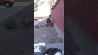 Hacky challenge